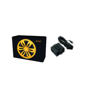 10″Active Enclouser with Control Remote KS-1920